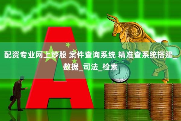 配资专业网上炒股 案件查询系统 精准查系统搭建_数据_司法_检索