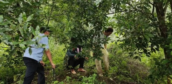 配资专业网上炒股 观日出，风景背后要避开这些风险！