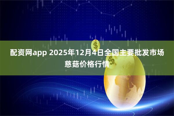 配资网app 2025年12月4日全国主要批发市场慈菇价格行情